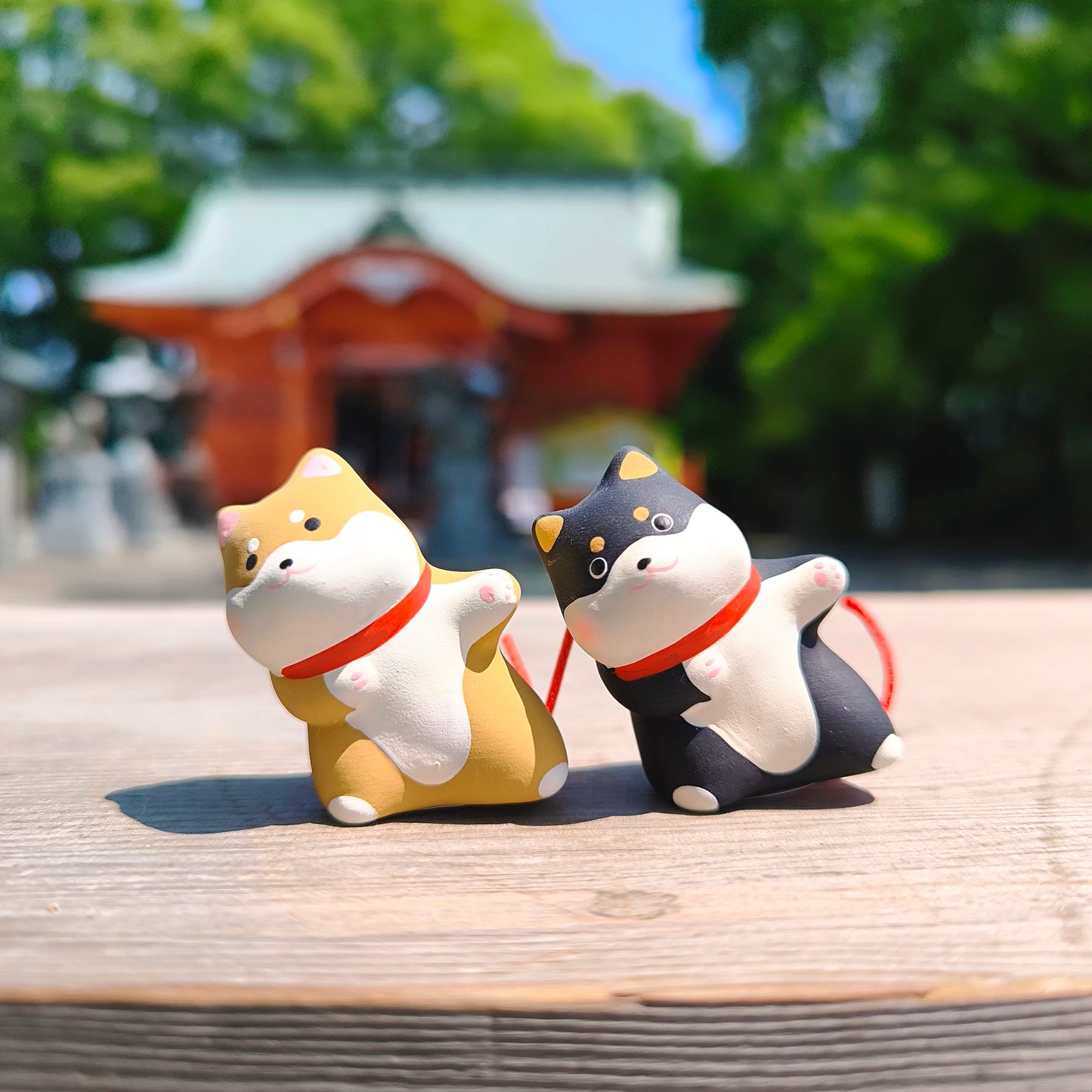 ひょっこり柴犬おみくじ